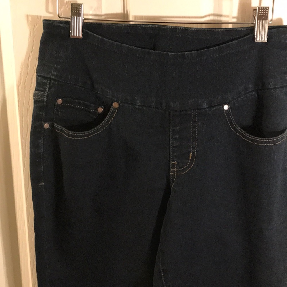 Jag Jeans High Rose Bootleg Pull On Pants